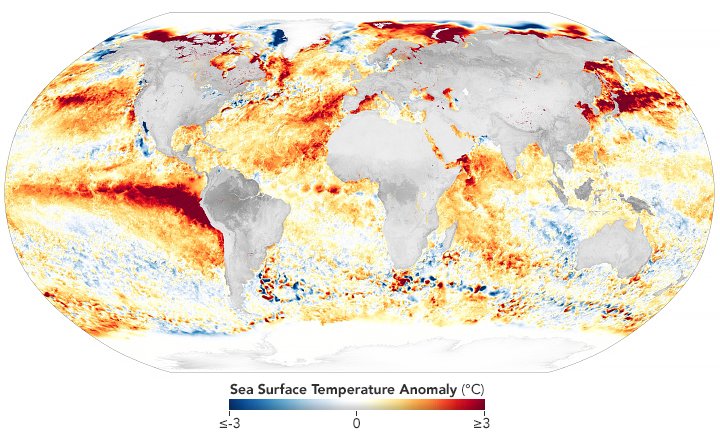 A map of sea surface temperature anomalies on 21 August 2023: the warm band across the central and eastern equatorial Pacific is the signature of a developing El Niño.
