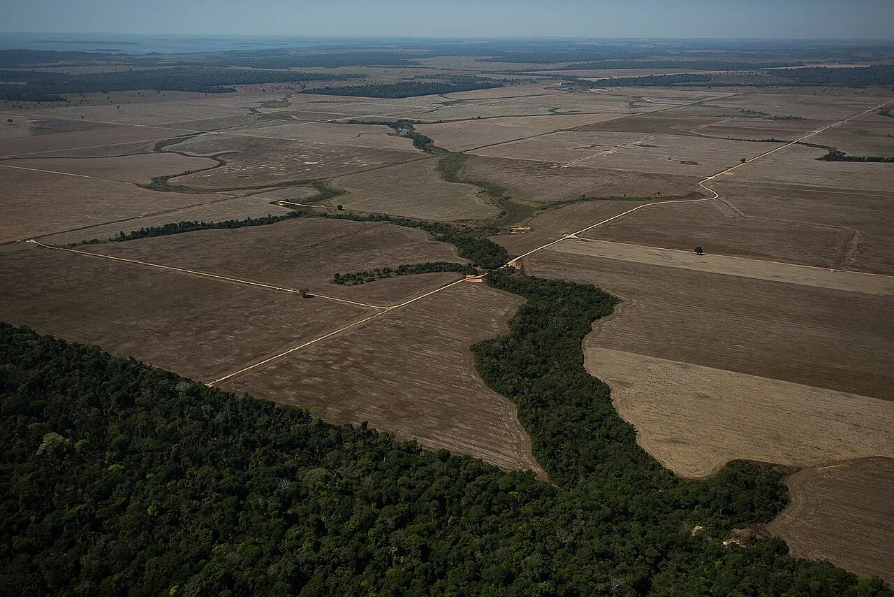Land cleared for crops or cattle near Porto Velho, in the state of Rondônia, in August 2020. Land-use change still accounts for 39% of Brazil's gross emissions.